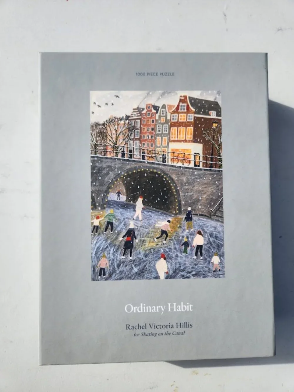 Ice Skating on the Canal 1000 Piece Puzzle Ordinary Habit Rachel Victoria Hillis